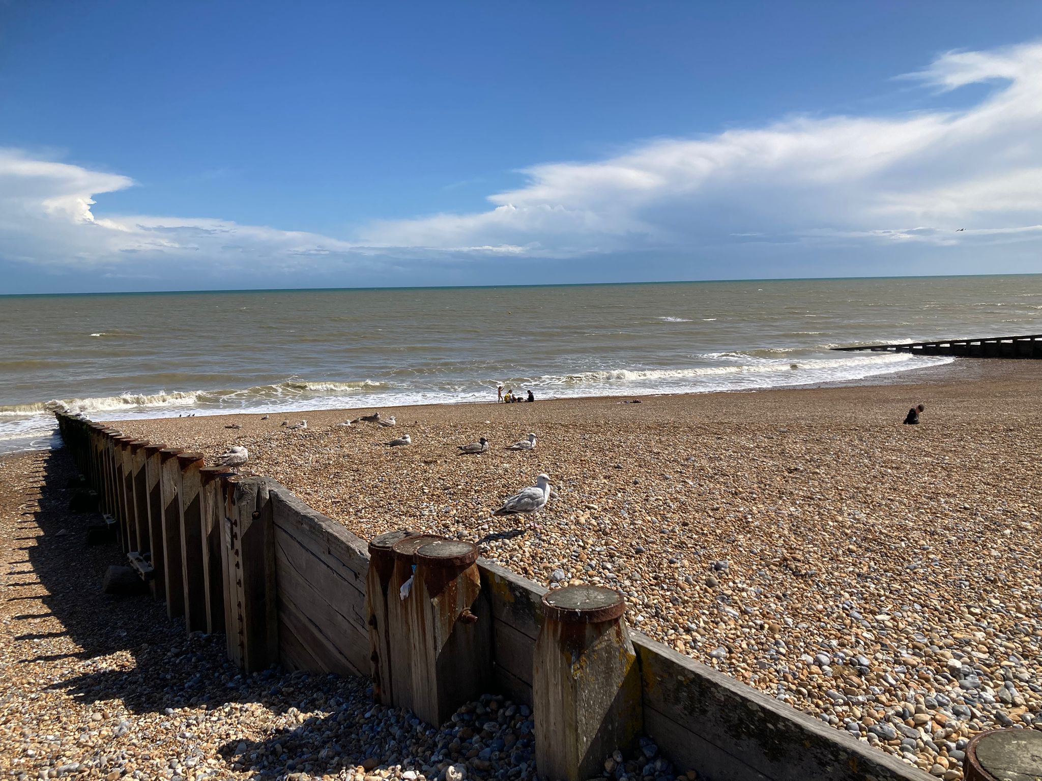 Beach View